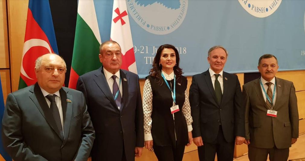 Mətbuat Şurasının sədri Albaniyada səfərdədir
