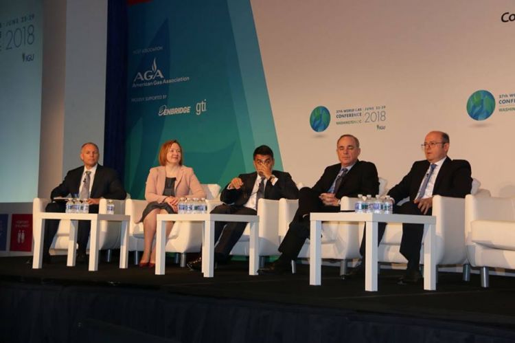 “TAP Avropanın enerji təhlükəsizliyində mühüm rol oynayacaq”-Nazir