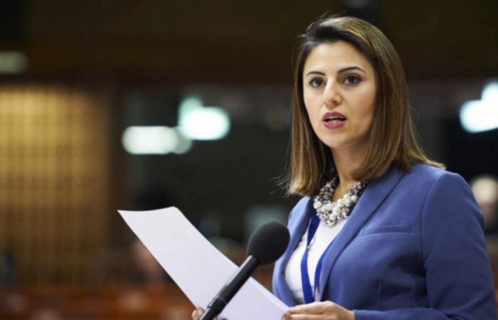 Milli Məclisin xanım deputatına yeni vəzifə verildi