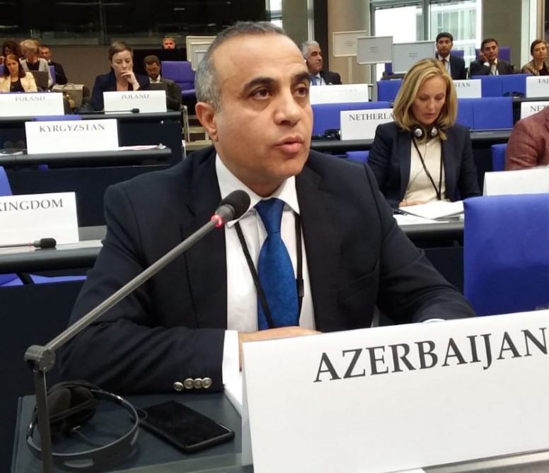 ATƏT PA-nın vitse-prezidentindən Ermənistanın yeni rəhbərliyinə dərs