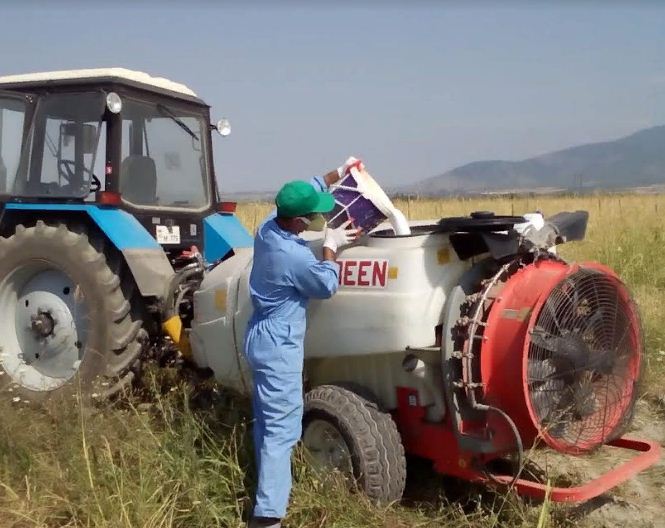Azərbaycana İtaliya &ccedil;əyirtkəsinin k&uuml;tləvi miqrasiyasının qarşısı alınıb