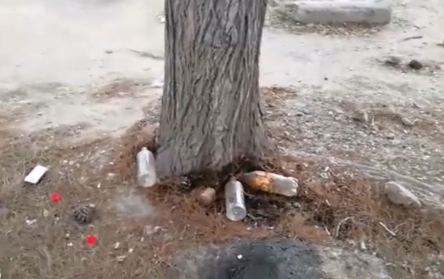 Bakıda ağacların dibinə &ldquo;kislota&rdquo; t&ouml;kən şəxs tutulub