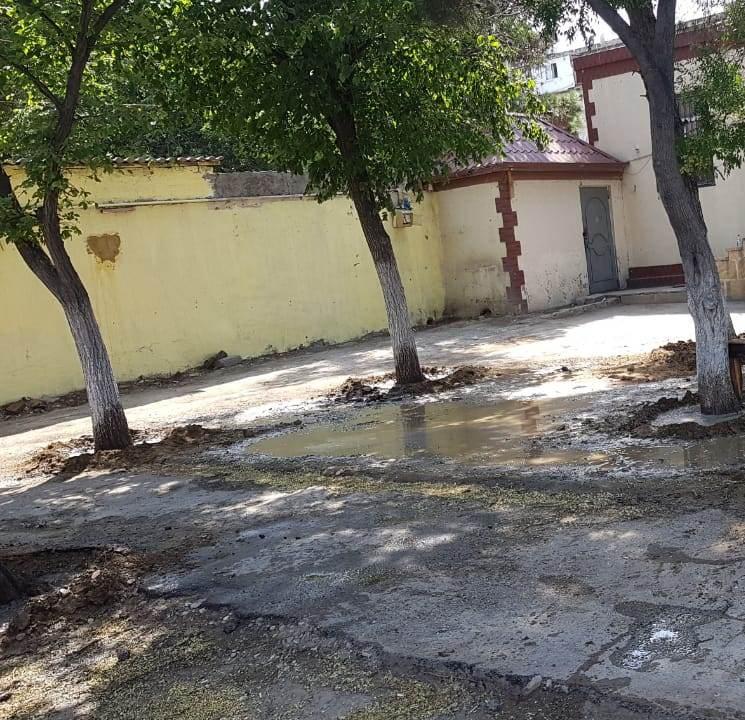 Nazirlik Yasamalda dibinə kimyəvi maddə t&ouml;k&uuml;lən ağacları himayəyə g&ouml;t&uuml;rd&uuml;