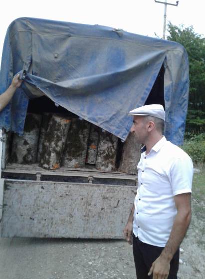 Qanunsuz yolla əldə olunmuş meşə materialı aşkar edildi