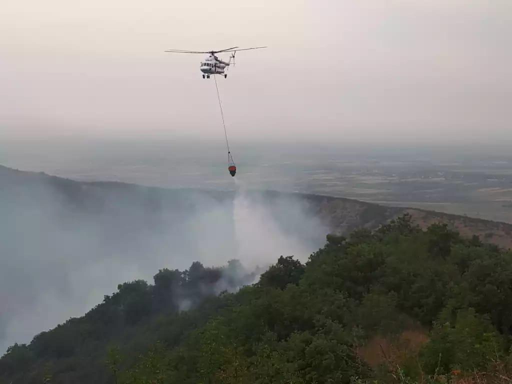 Ağsu və Şamaxıda meşə yanğını oldu