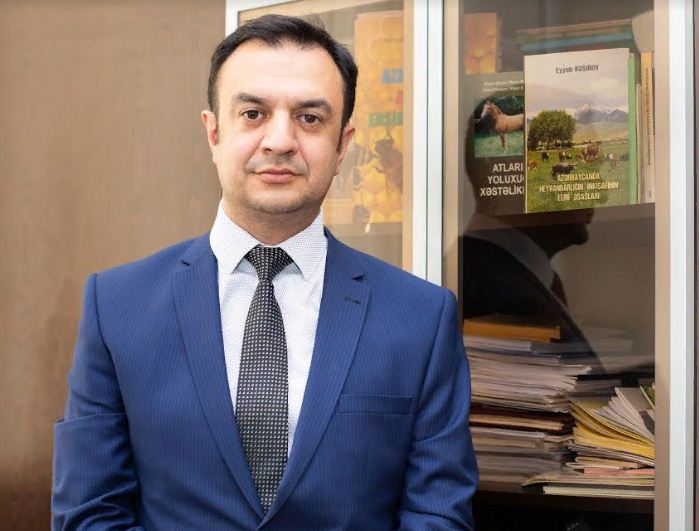Qurbanlıq heyvan seçərkən nələrə diqqət olunmalıdır? - Nazirlik nümayəndəsi ilə MÜSAHİBƏ