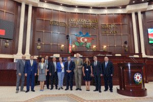 Almaniyalı deputatlar Milli Məclisdə