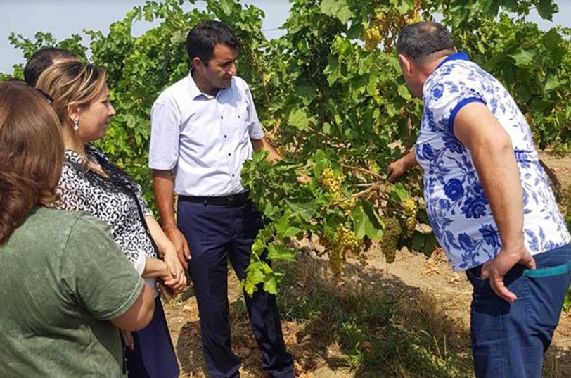 Nazirlik üzümçülüklə bağlı təlim keçirdi