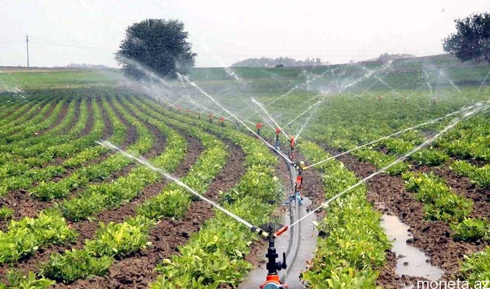 Əkin sahələrinin suvarılmasına 4,5 milyon manat ayrıldı
