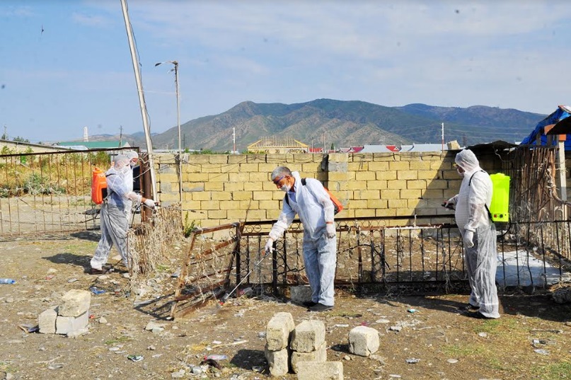 Heyvan satışı bazarları dezinfeksiya olundu