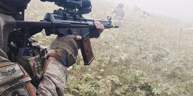 2 PKK terror&ccedil;usu təslim oldu