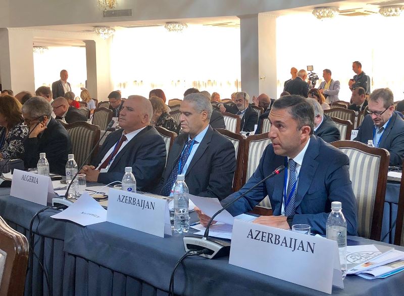 Tahir Mirkişili ATƏT PA-da Azərbaycanın təşəbb&uuml;s&uuml;n&uuml; dəstəkləməyə &ccedil;ağırdı  &nbsp;