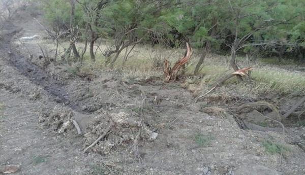 Təbiətə 6640 manat zərər vurdu, iş prokurorluğa göndərildi