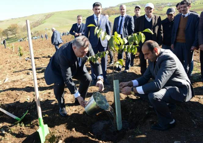 Lerikdə aztəminatlı ailələr üçün meyvə bağı salınıb - FOTO
