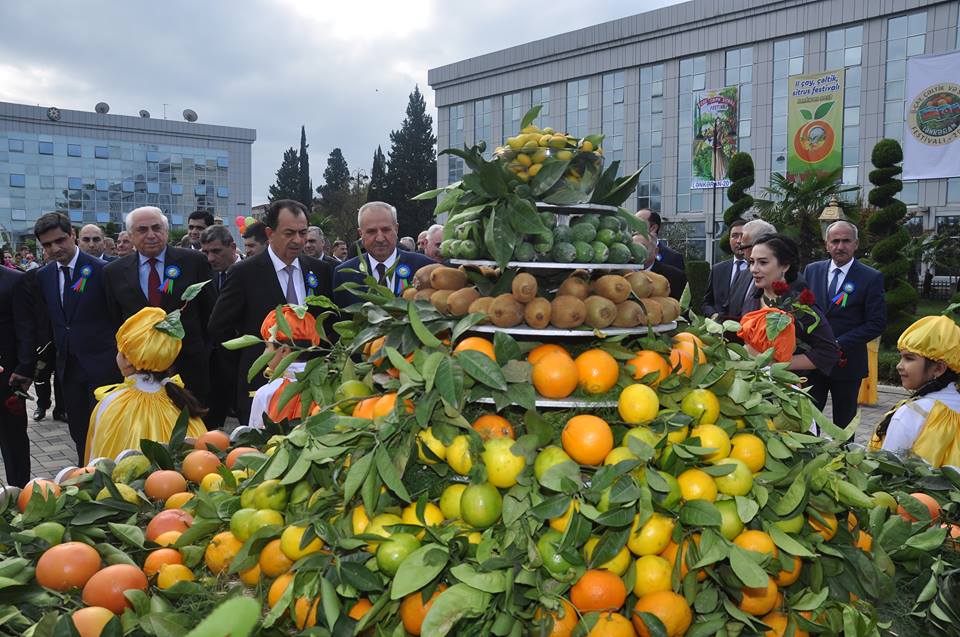 Limon ətirli festivaldan narıngili FOTO-REPORTAJ