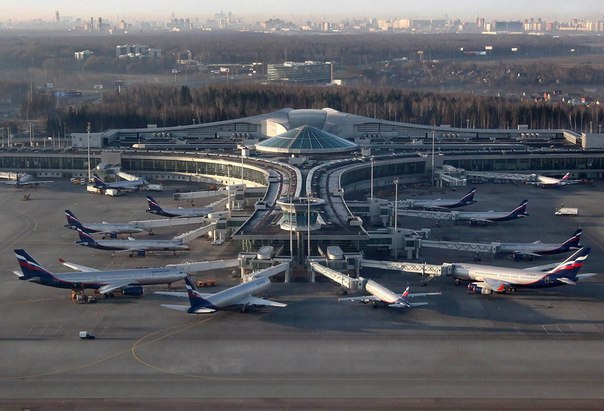 Moskva aeroportunda Ermənistan vətəndaşının cəsədi tapılıb