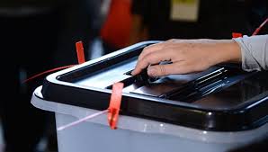 Gürcüstanda prezident seçkisi başa çatdı: 11 qanun pozuntusu 