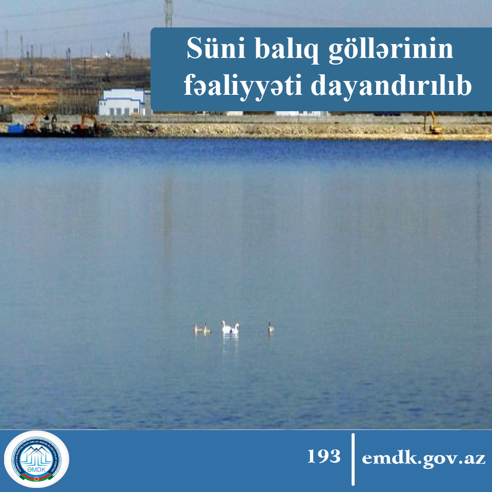 121 süni balıq gölünün fəaliyyəti dayandırıldı - SƏBƏB