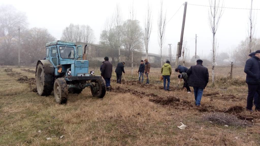 Ağstafada tut tinglərinin əkin işləri başa çatdırıldı