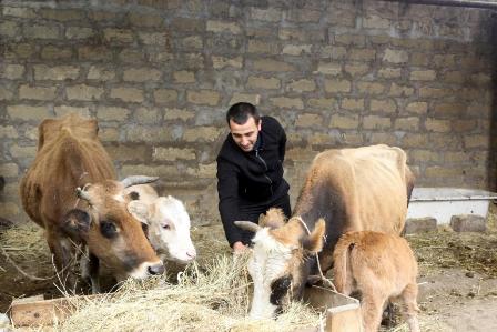 Özünüməşğulluq proqramına 7700-dən çox aztəminatlı ailə cəlb olunub