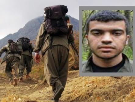 PKK terrorçusu təslim oldu