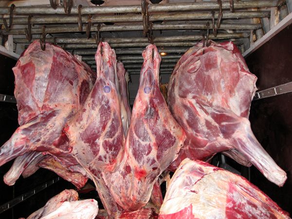 686 kiloqram mənşəyi bəlli olmayan ət aşkarlandı