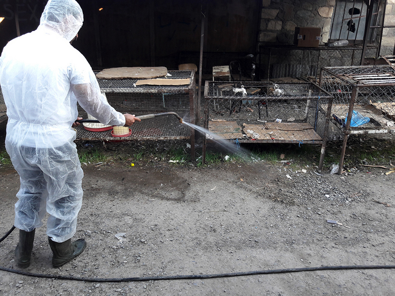 Nazirlik bölgələrdə dezinfeksiya işlərini davam etdirir