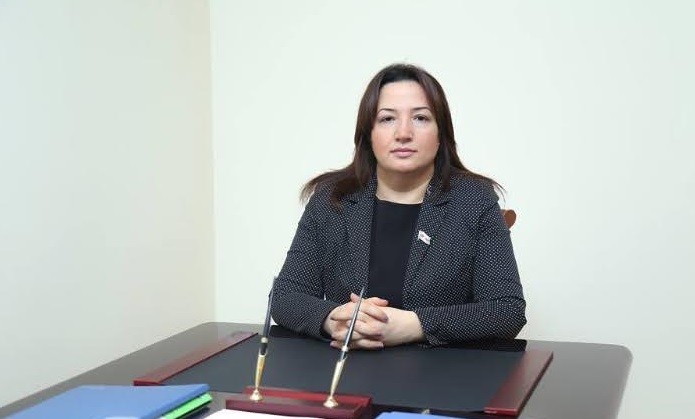 ““Nəsimi ili” mənəviyyatımıza, ədəbiyyatımıza olan böyük qayğının təzahürüdür”