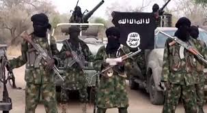 “Boko Haram”  daha bir şəhəri ələ keçirdi