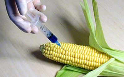 GMO məhsullar Azərbaycan bazarına Türkiyə və İrandan gətirilir