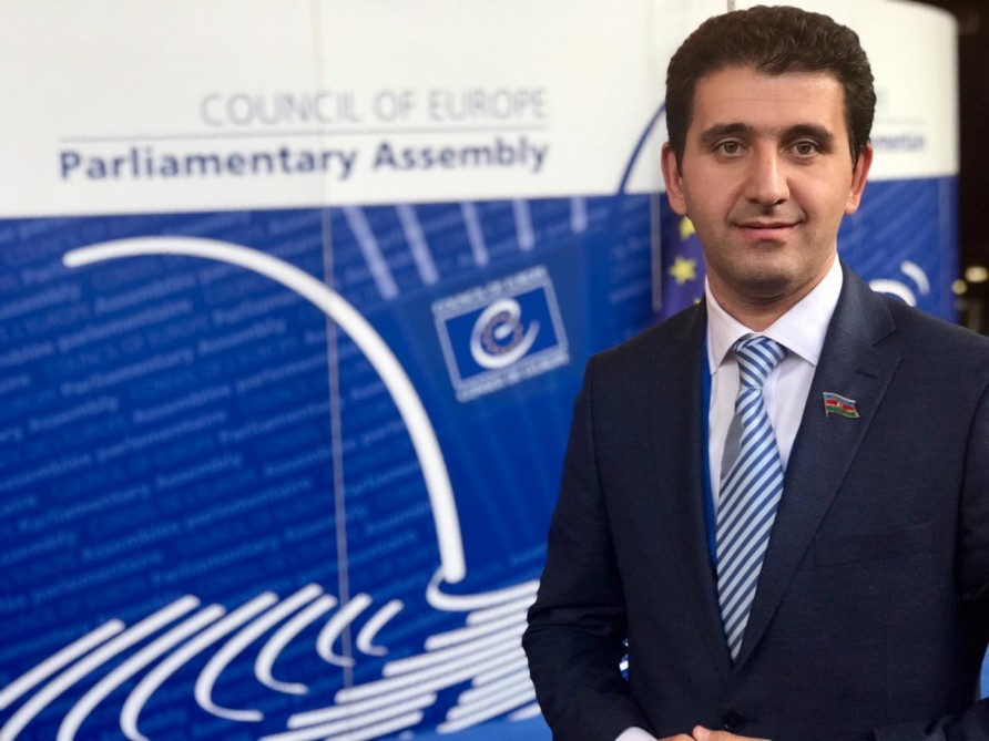 Azərbaycanlı deputat AŞPA-da internet idarəçiliyindən danışdı