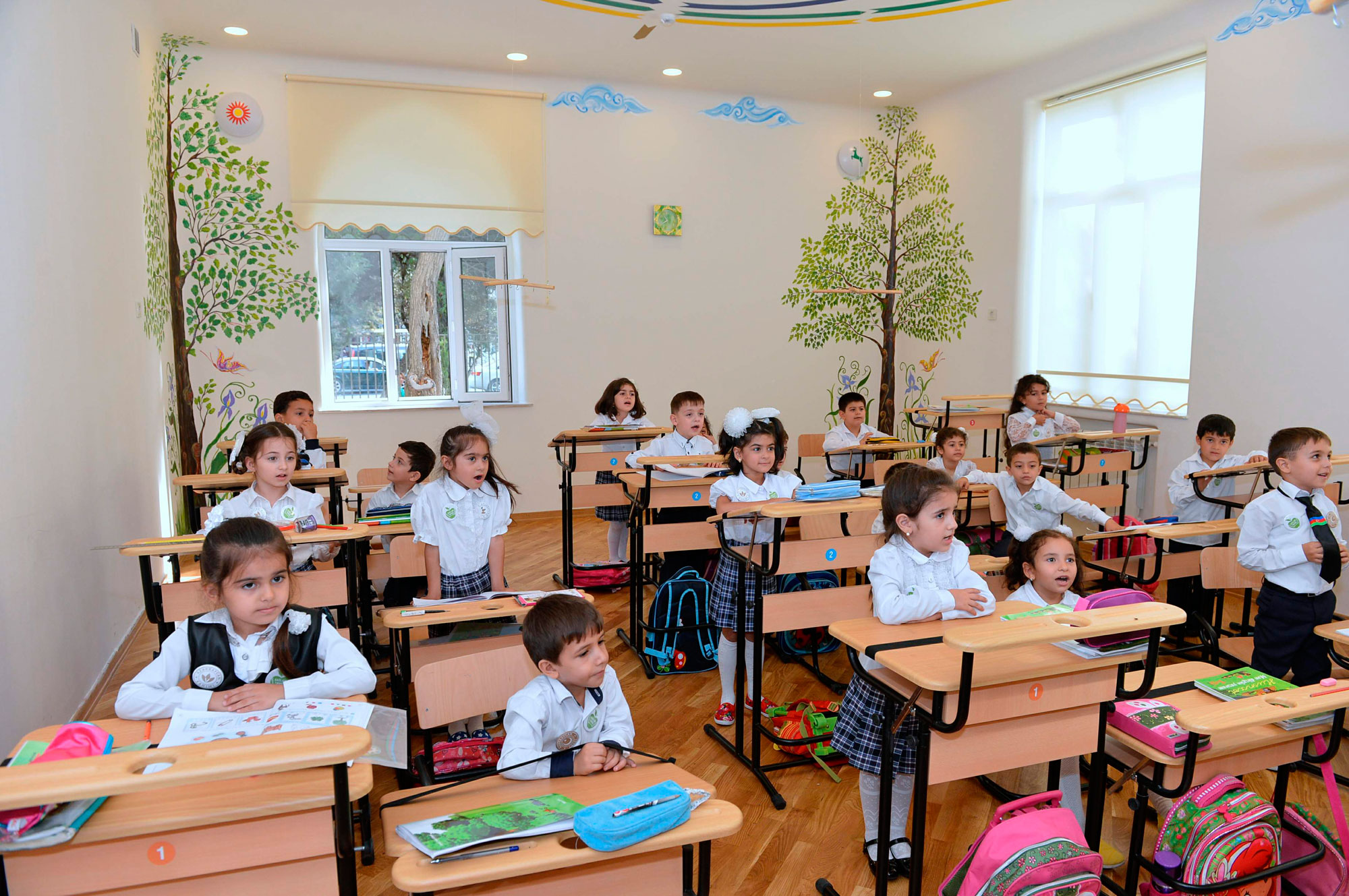 I siniflərə  şagird qəbulu bu tarixdə başlanacaq - RƏSMİ