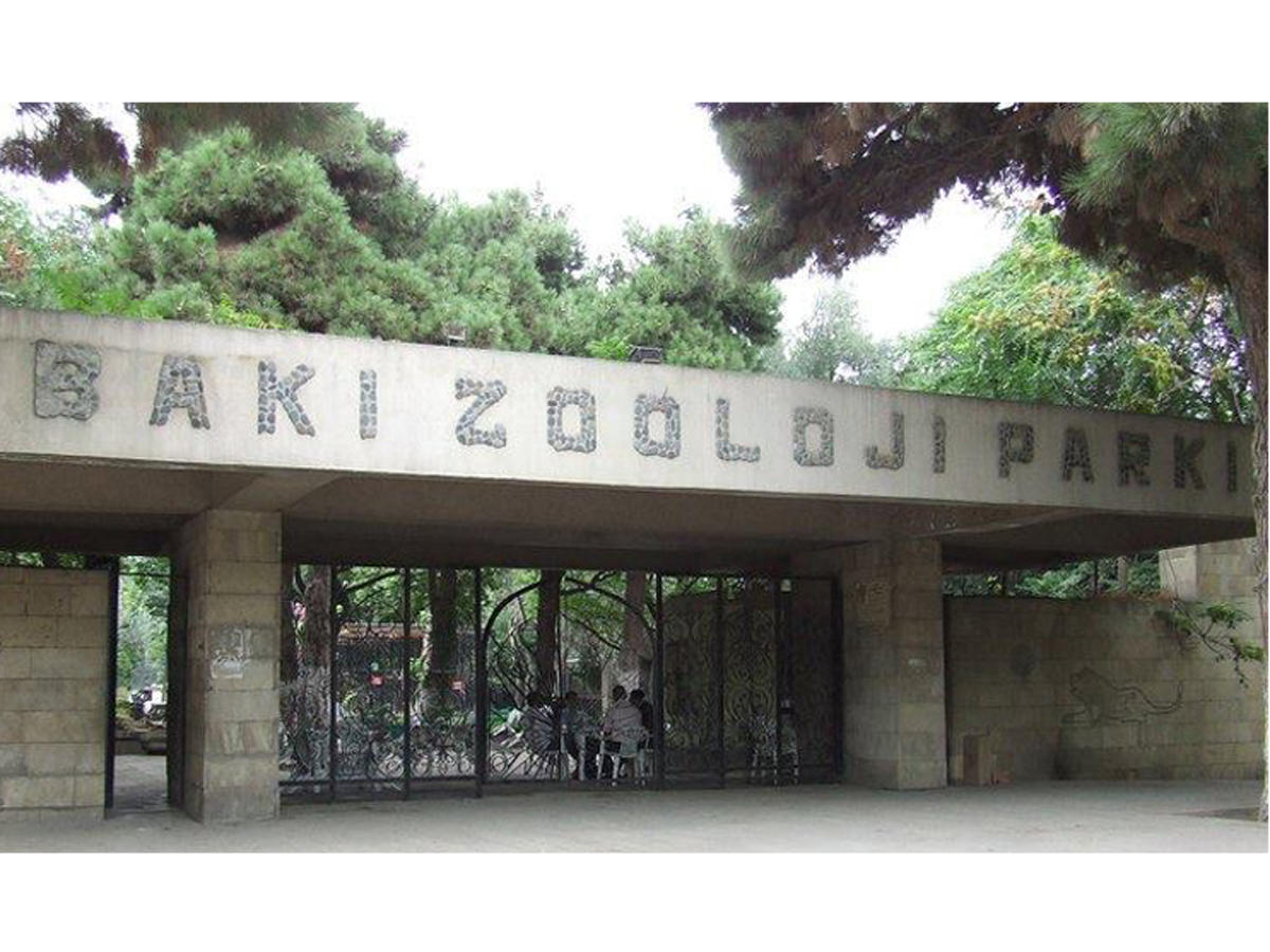 Bakı zooparkı  fəaliyyətini dayandırır - SƏBƏB