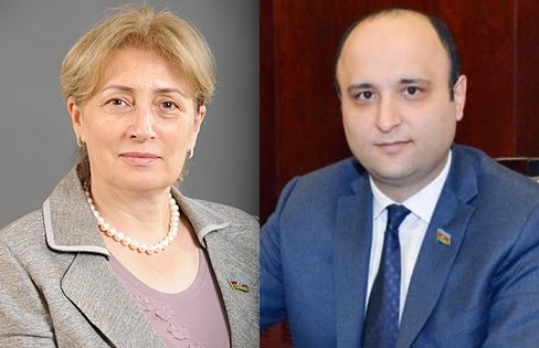Milli Məclisin iki komitəsinə müavin seçildi
