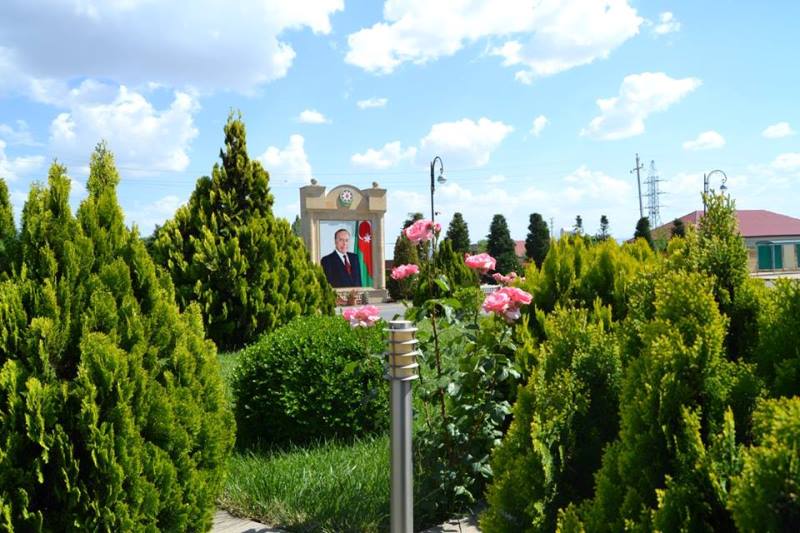 İşğaldan azad olunmuş ərazilər yaşıllaşdırılır