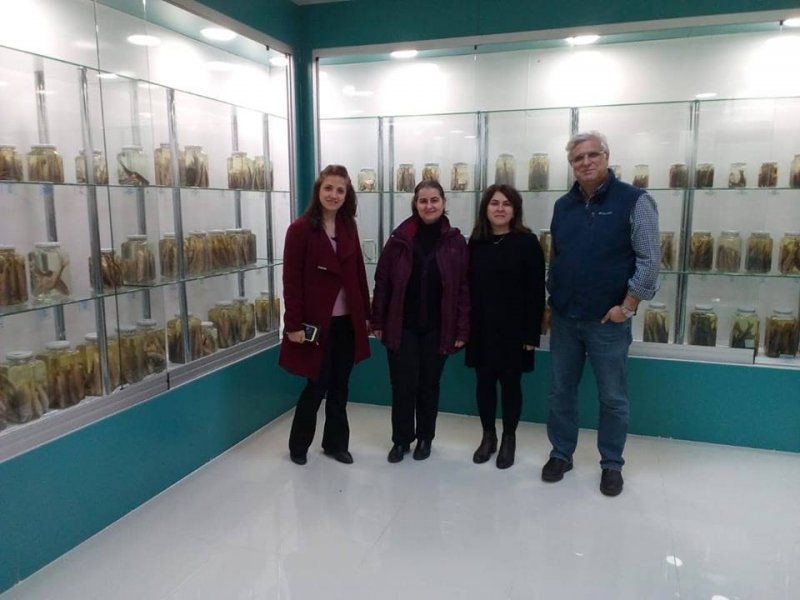 Qərbi Kaspi Universitetinin m&uuml;əllimi beynəlxalq tədqiqatda iştirak edir