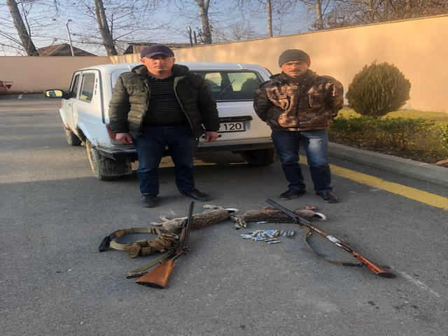 İsmayıllıda qanunsuz ov edənlər saxlanıldı