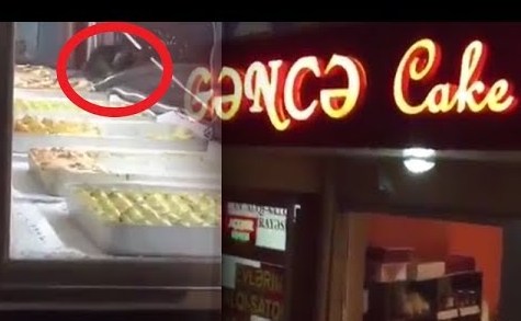 Piştaxtasında siçan gəzən “Gəncə Cake House”ın fəaliyyəti DAYANDIRILDI