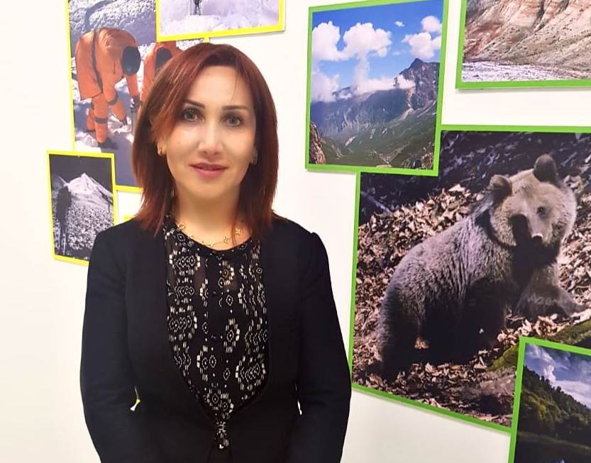 Vətəndaşdan müsadirə edilən qonur ayı təbiətə buraxılacaq