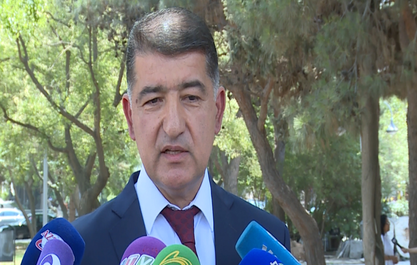Nazir m&uuml;avini&nbsp;şam ağaclarının k&uuml;tləvi qurudulmasına m&uuml;nasibət bildirdi