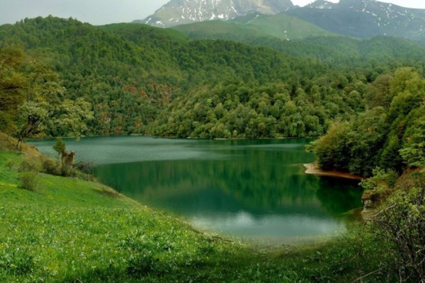 Milli parklarda uşaqlar üçün guşələr yaradılacaq