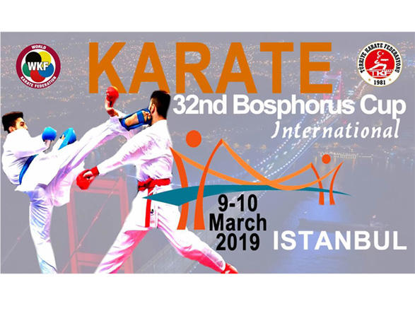 Karate&ccedil;ilərimiz İstanbulda 14 medal qazandı