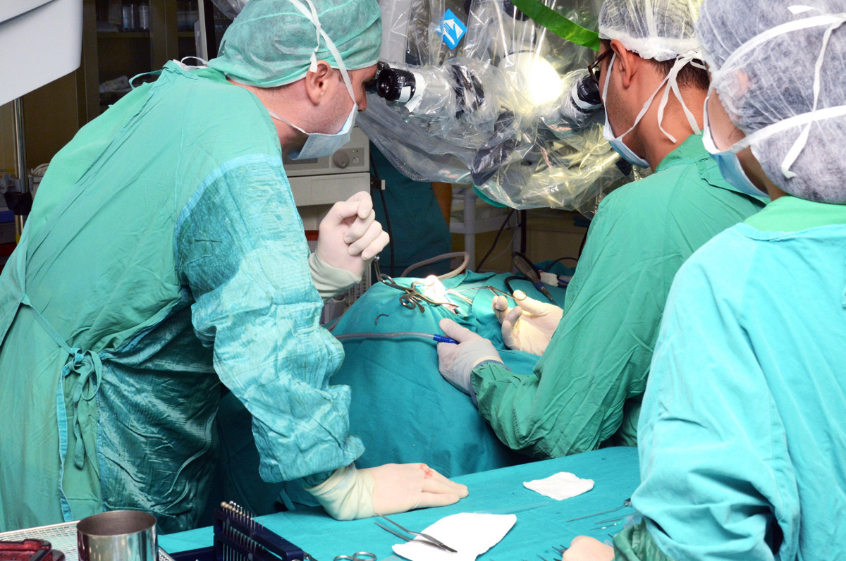Azərbaycanda qohum olmayan şəxsin də donor olmasına icazə veriləcək