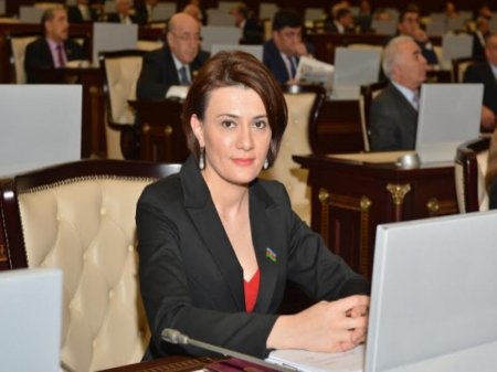 Deputatdan iki nazirliyə ÇAĞIRIŞ: “Bəs onlar harada təhsil almalıdır?”