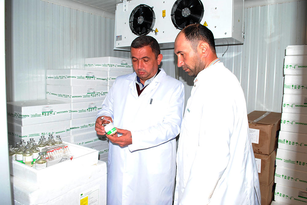 Qazaxda profilaktik peyvəndləmə aparılır