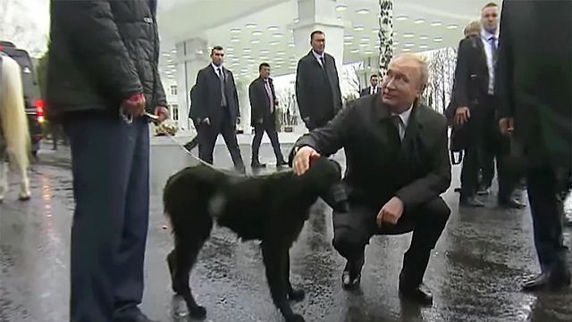 Putinə at və küçük hədiyyə etdilər
