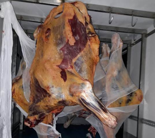 534 kiloqram mənşəyi məlum olmayan ət aşkarlandı