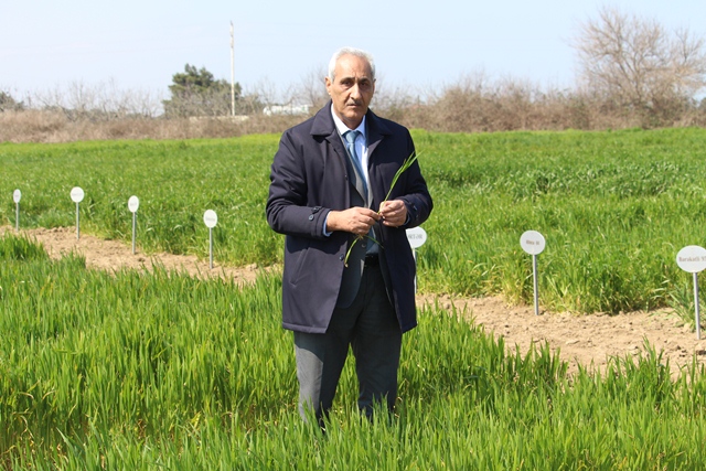 “Yaz qulluq işləri məhsuldarlığı müəyyən edən əsas amildir”