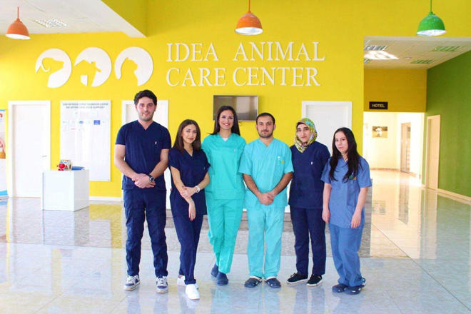 IDEA Heyvanlara Qayğı Mərkəzinin yeni baytar heyəti fəaliyyətə başlayıb