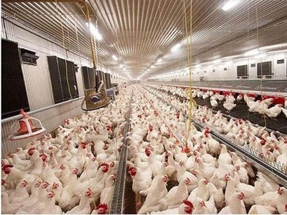 Heyvandarlıq, quş&ccedil;uluq, balıq&ccedil;ılıq m&uuml;əssisələri &uuml;&ccedil;&uuml;n yeni tələb